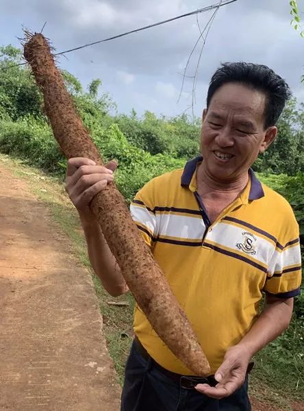 富硒产品口感好吗(富硒产品)-硒宝网