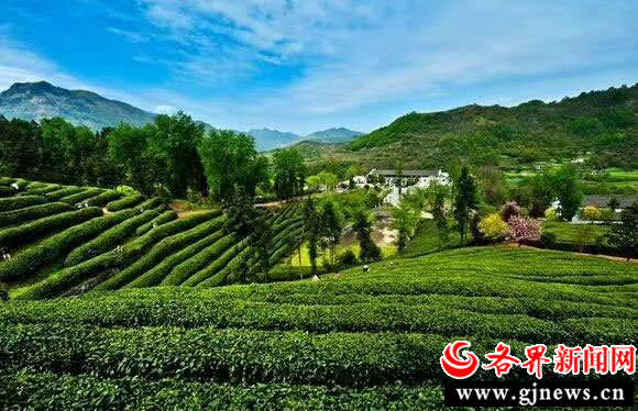 富硒产品招商网站（富硒产品专卖店）-硒宝网