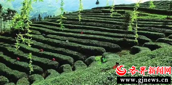 富硒产品招商网站（富硒产品专卖店）-硒宝网