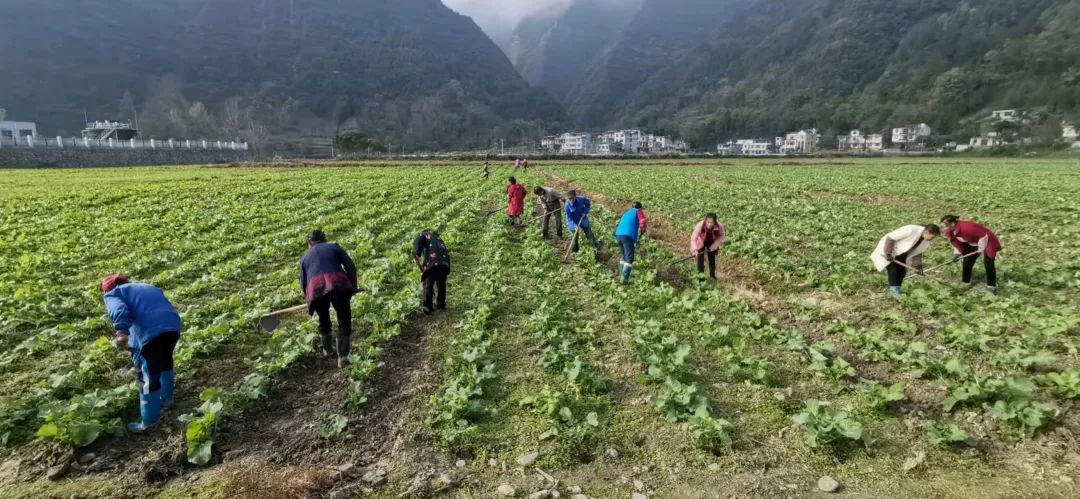 恩施富硒产品有啥(恩施富硒产品有哪些品牌)-硒宝网