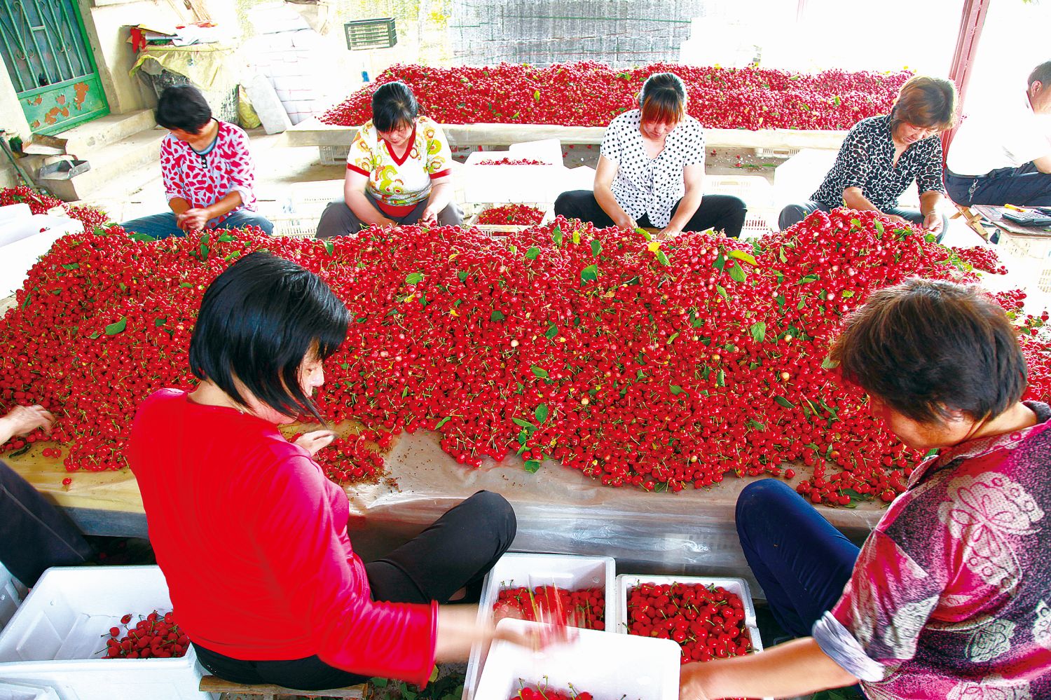 城口县富硒农产品（富硒基地）-硒宝网