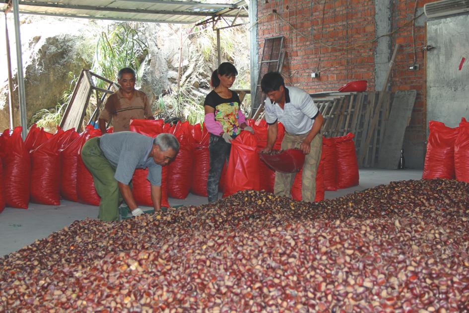 城口县富硒农产品（富硒基地）-硒宝网