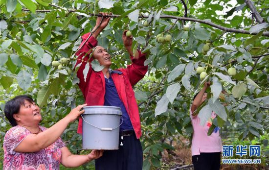 城口县富硒农产品（富硒基地）-硒宝网