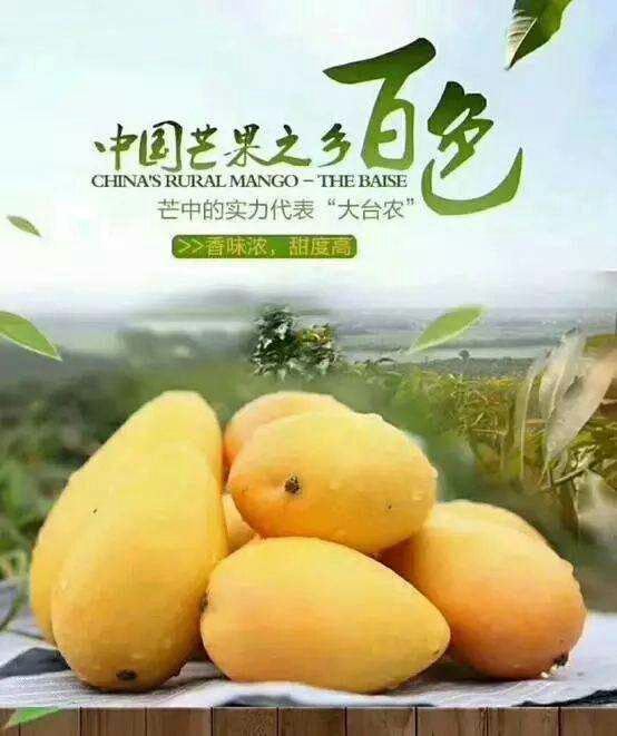 富硒产品认证主体（认证主体富硒产品是什么）-硒宝网