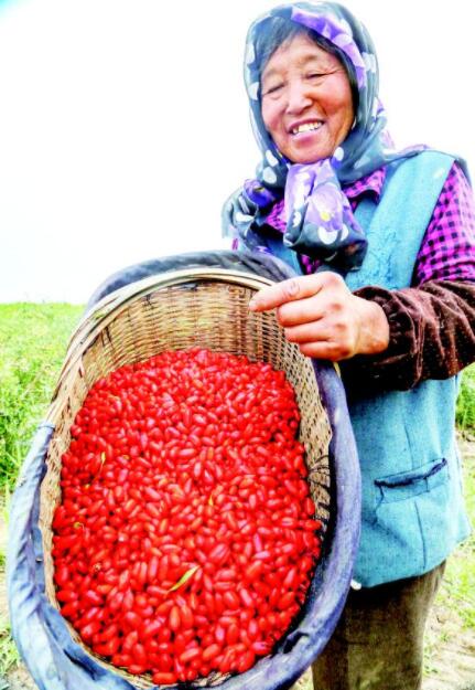 石嘴山富硒农产品(石嘴山富硒庄园)-硒宝网