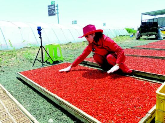 石嘴山富硒农产品(石嘴山富硒庄园)-硒宝网