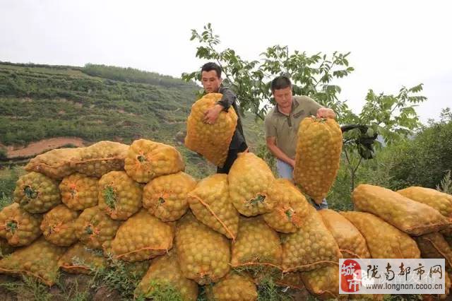 现在很多产品富硒(富硒产品有科学依据吗)-硒宝网