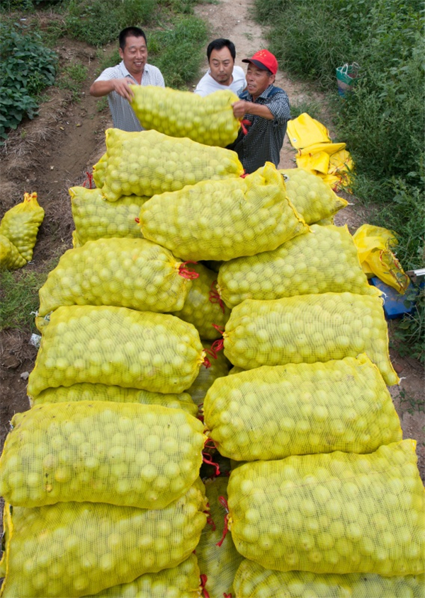 现在很多产品富硒(富硒产品有科学依据吗)-硒宝网