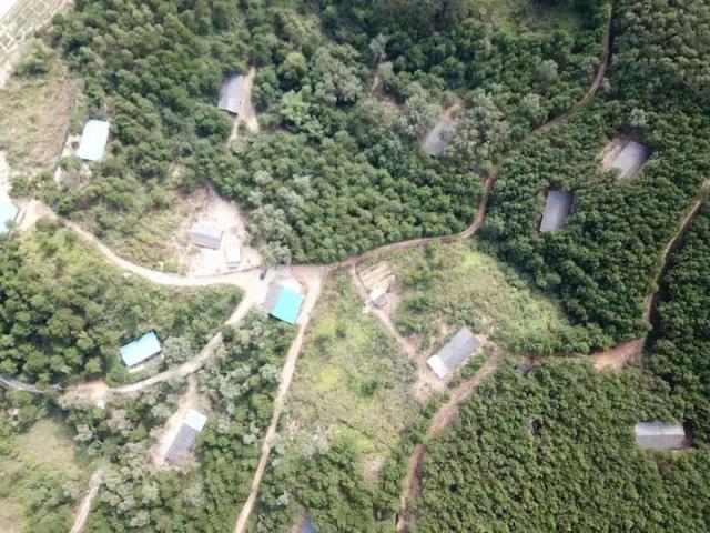 广西富硒产品数据(广西富硒产品有哪些)-硒宝网