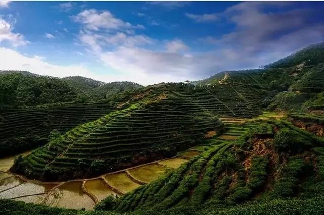 广西富硒产品数据(广西富硒产品有哪些)-硒宝网