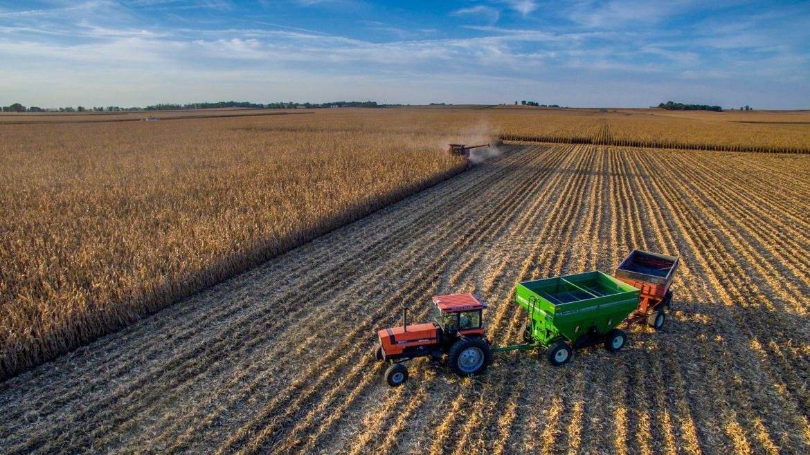 富硒酒的产品开发（富硒酒是什么意思）-硒宝网