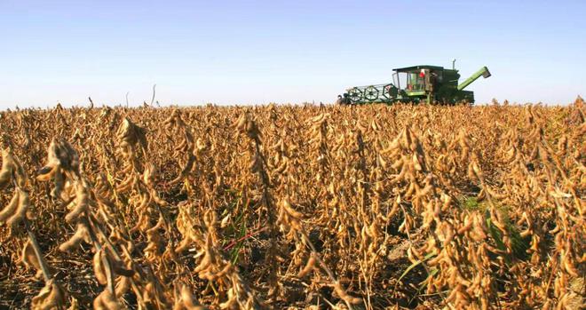 富硒酒的产品开发（富硒酒是什么意思）-硒宝网