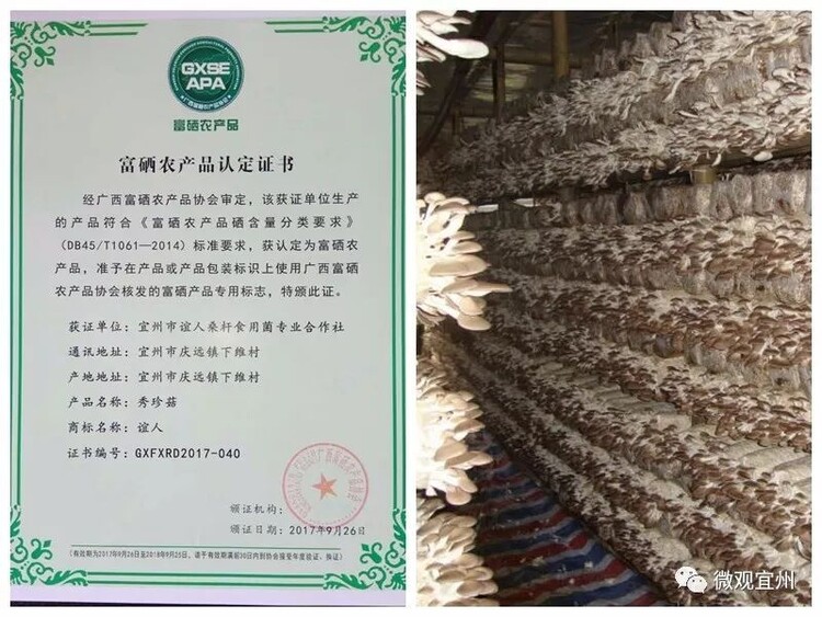 河北富硒产品认证（认证河北富硒产品的公司）-硒宝网