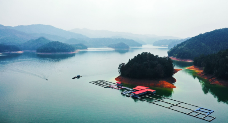 富硒产品认证主体(富硒产品认证程序)-硒宝网