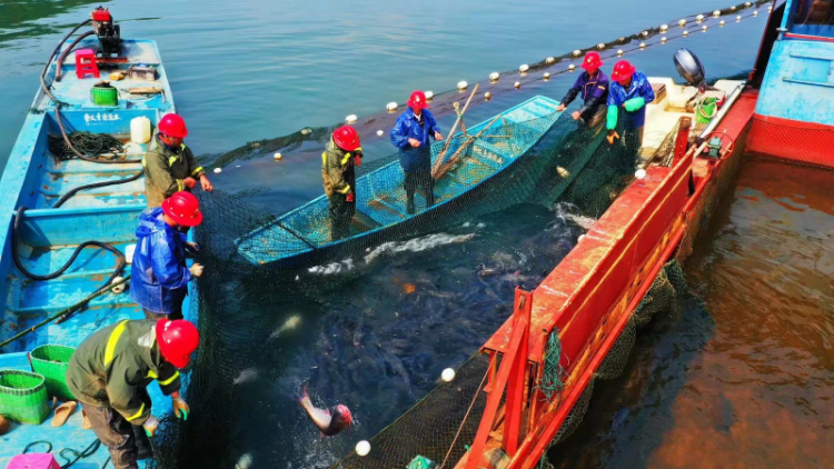 富硒产品认证主体(富硒产品认证程序)-硒宝网