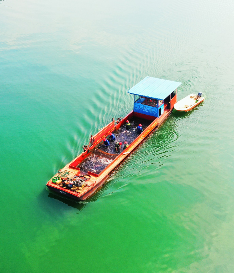 富硒产品认证主体(富硒产品认证程序)-硒宝网