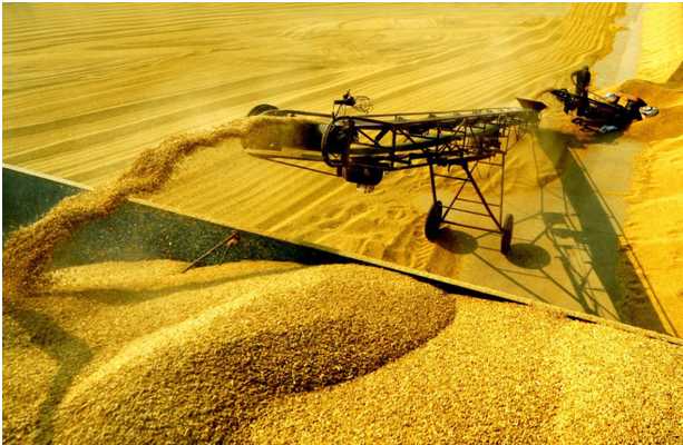 和富硒有关的产品（富硒产品有哪些好处）-硒宝网