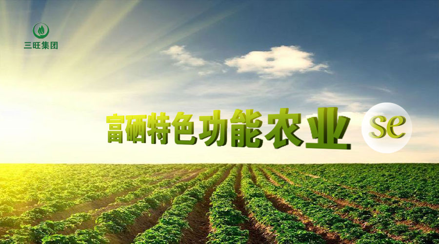 富硒产品土地标准（土地标准富硒产品是什么）-硒宝网