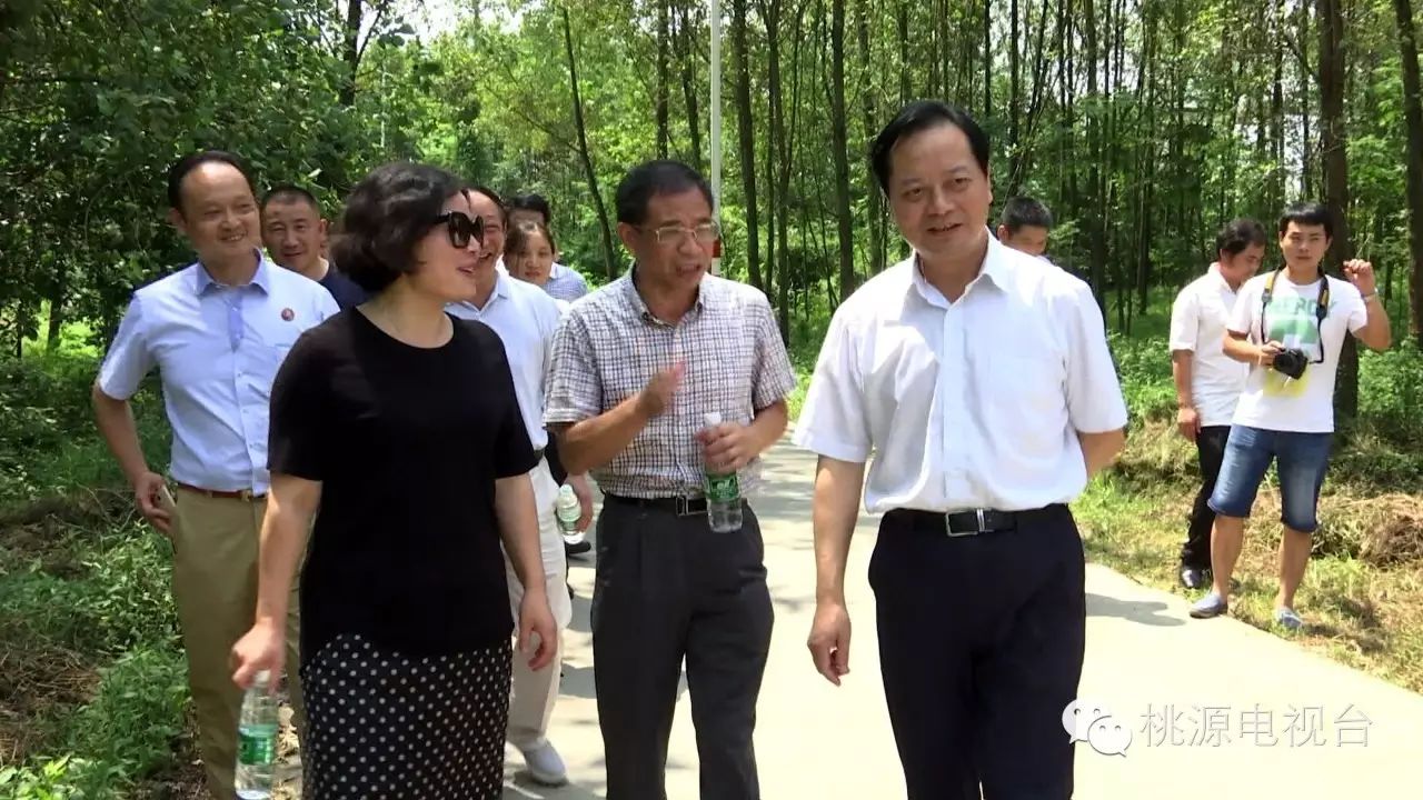 桃源 富硒农产品(农桃源富硒产品是什么)-硒宝网