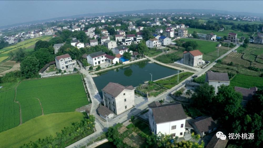 桃源 富硒农产品(农桃源富硒产品是什么)-硒宝网