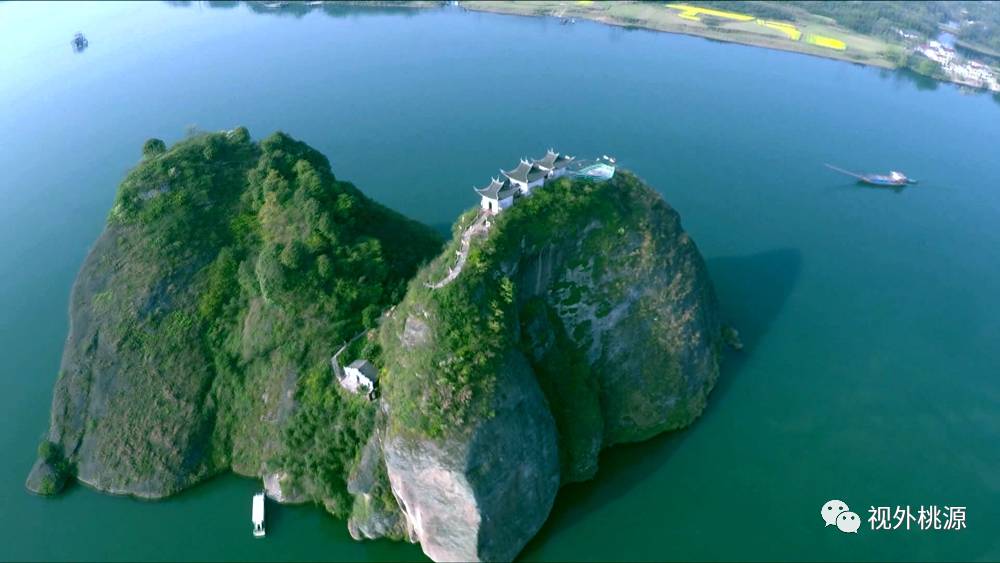 桃源 富硒农产品(农桃源富硒产品是什么)-硒宝网