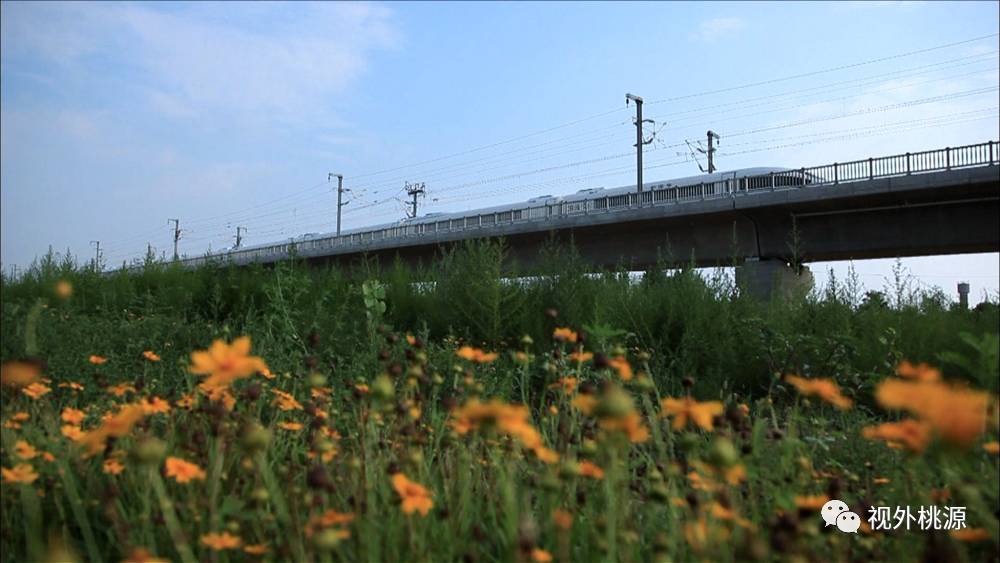 桃源 富硒农产品(农桃源富硒产品是什么)-硒宝网