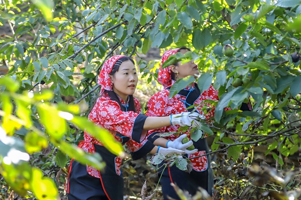 富硒茶的产品定位(富硒茶的竞争对手)-硒宝网