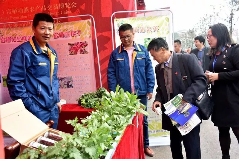 桃源 富硒农产品（桃源富硒蛋简介）-硒宝网