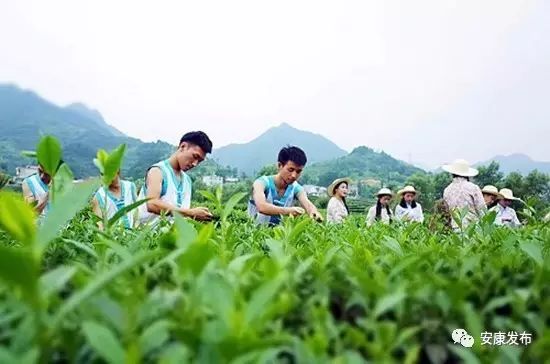 富硒产品推广平台(富硒产品广告宣传语)-硒宝网