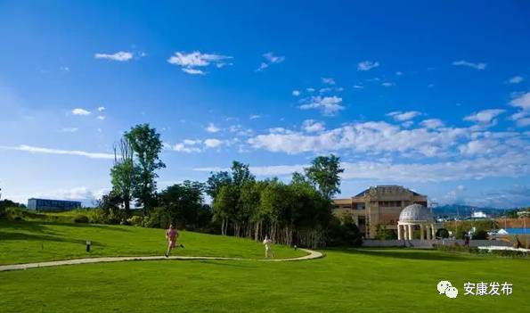 富硒产品推广平台(富硒产品广告宣传语)-硒宝网