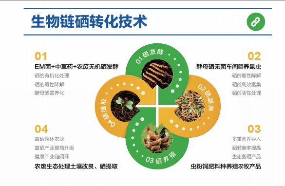 富硒产品市场竞争（竞争富硒市场产品的优势）-硒宝网