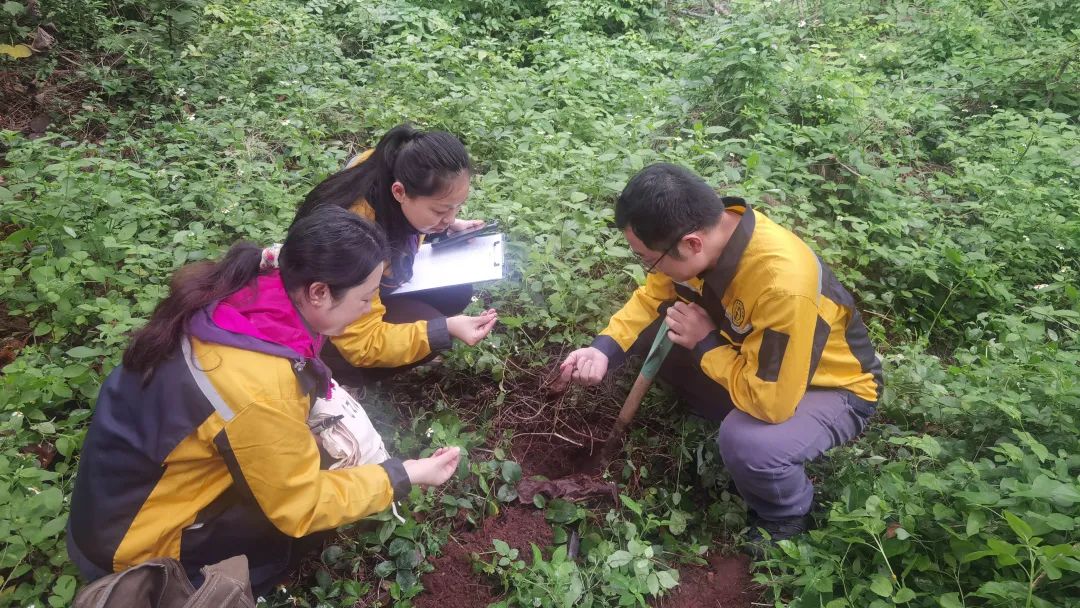 富硒产品推广平台（富硒产业广告语揭晓）-硒宝网