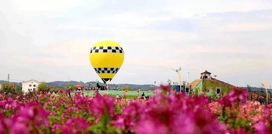 桃源 富硒农产品(湖南桃源里富硒蛋)-硒宝网