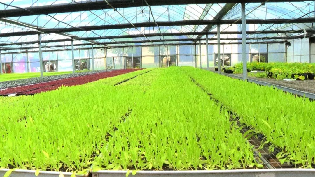 富硒产品推广平台（推广富硒平台产品方案）-硒宝网