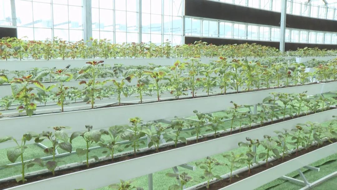 富硒产品推广平台（推广富硒平台产品方案）-硒宝网