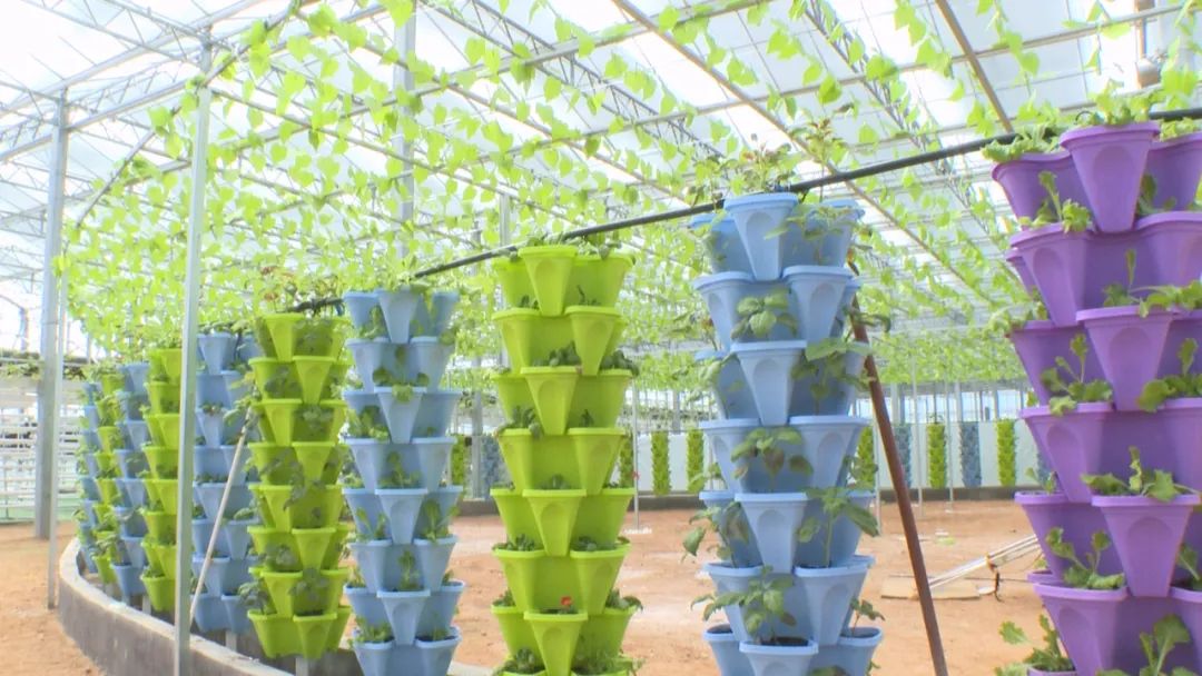 富硒产品推广平台（推广富硒平台产品方案）-硒宝网