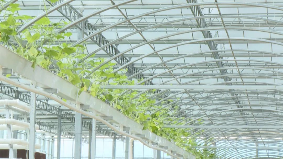 富硒产品推广平台（推广富硒平台产品方案）-硒宝网