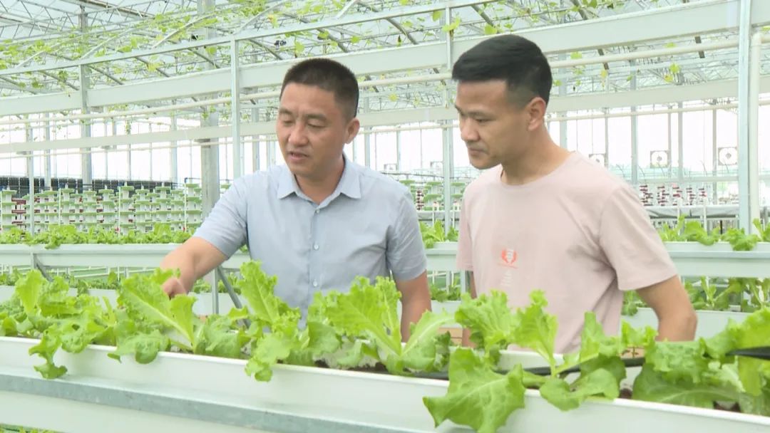 富硒产品推广平台（推广富硒平台产品方案）-硒宝网