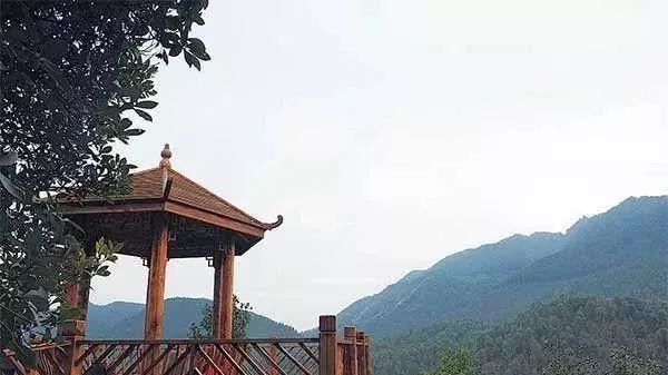 广西平南富硒产品(广西富硒)-硒宝网