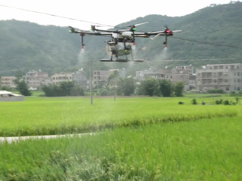 广西平南富硒产品(广西富硒)-硒宝网