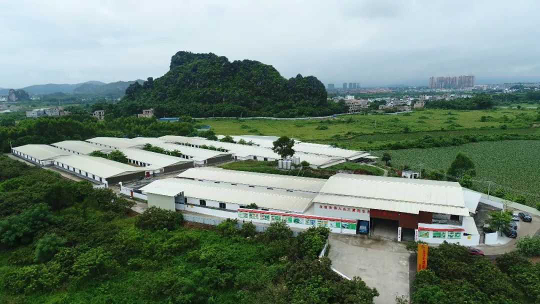 广西平南富硒产品(广西富硒)-硒宝网