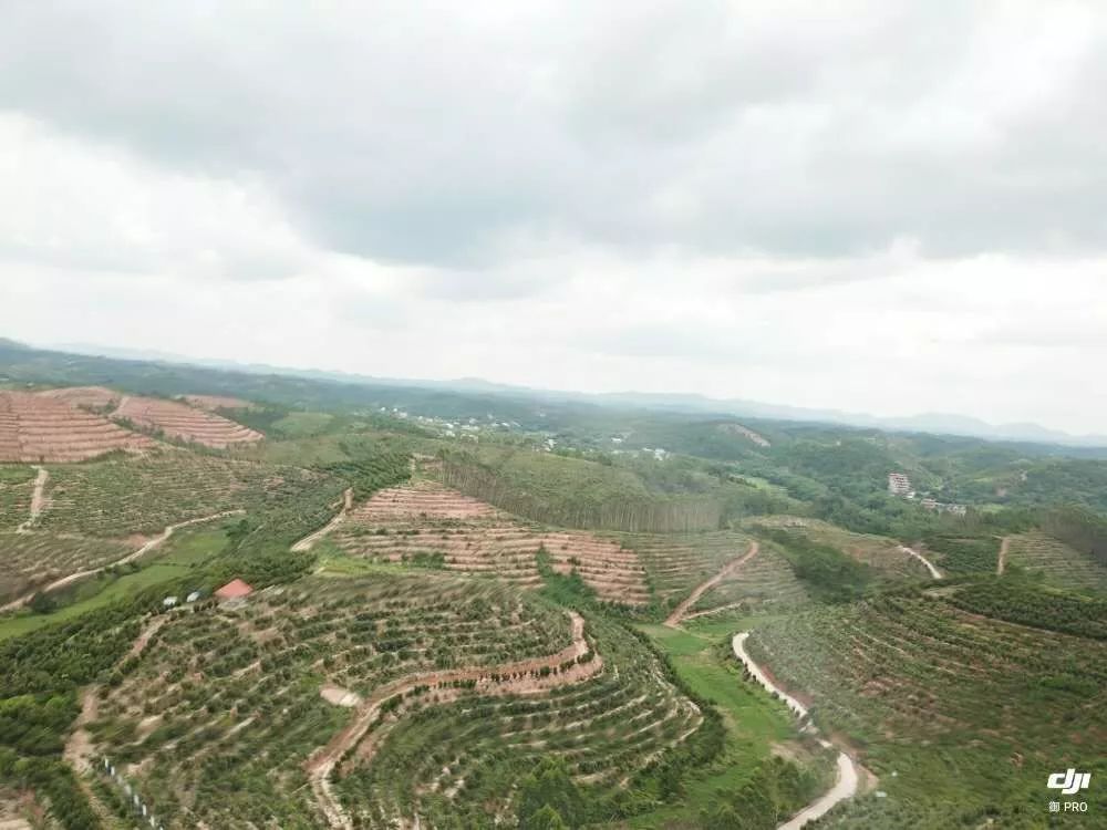 广西平南富硒产品(广西富硒)-硒宝网