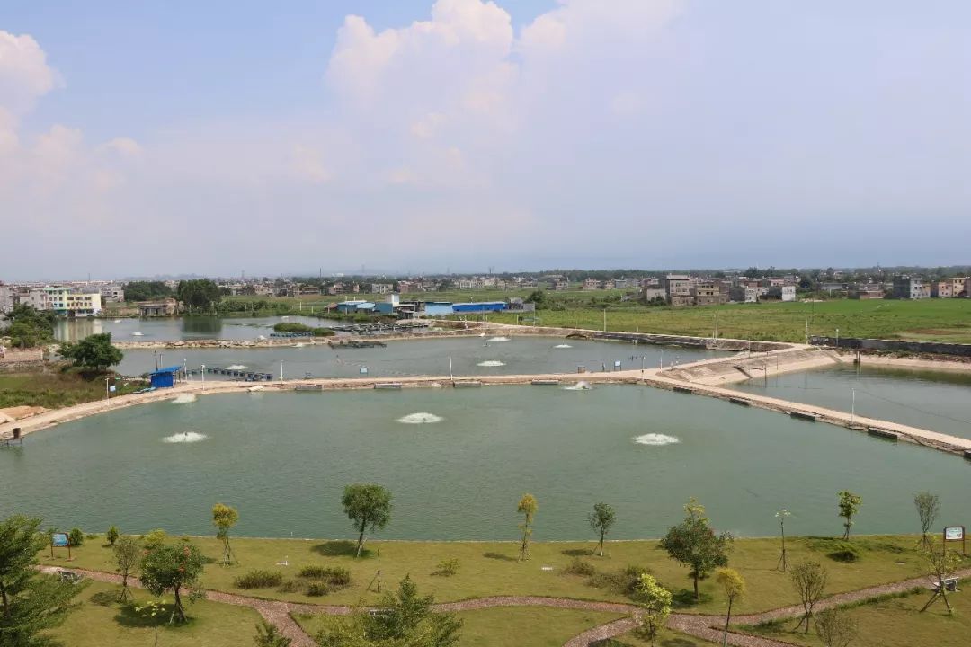 广西平南富硒产品(广西富硒)-硒宝网