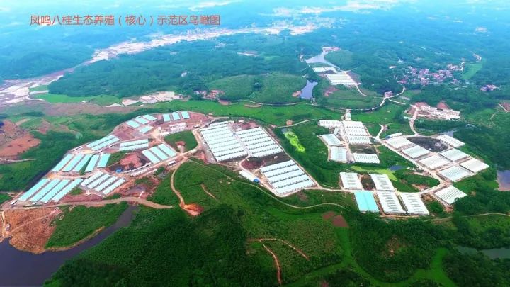 广西平南富硒产品(广西富硒)-硒宝网