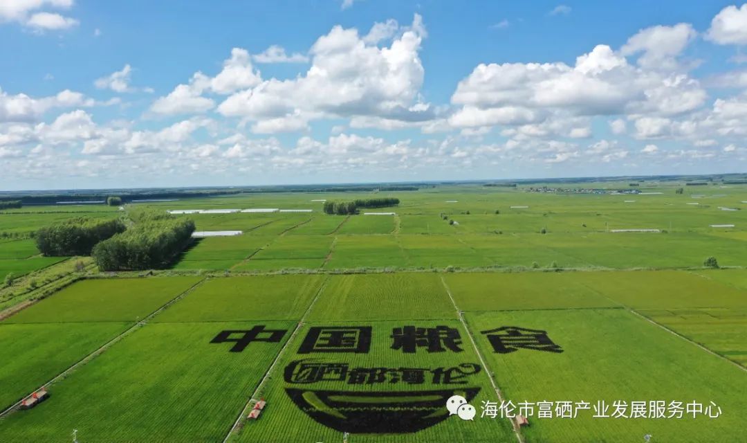 桃源 富硒农产品(桃源富硒网)-硒宝网