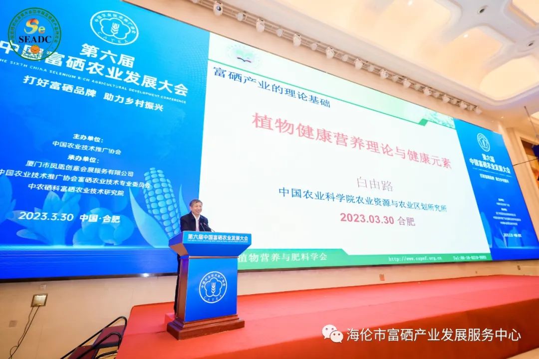 桃源 富硒农产品(桃源富硒网)-硒宝网