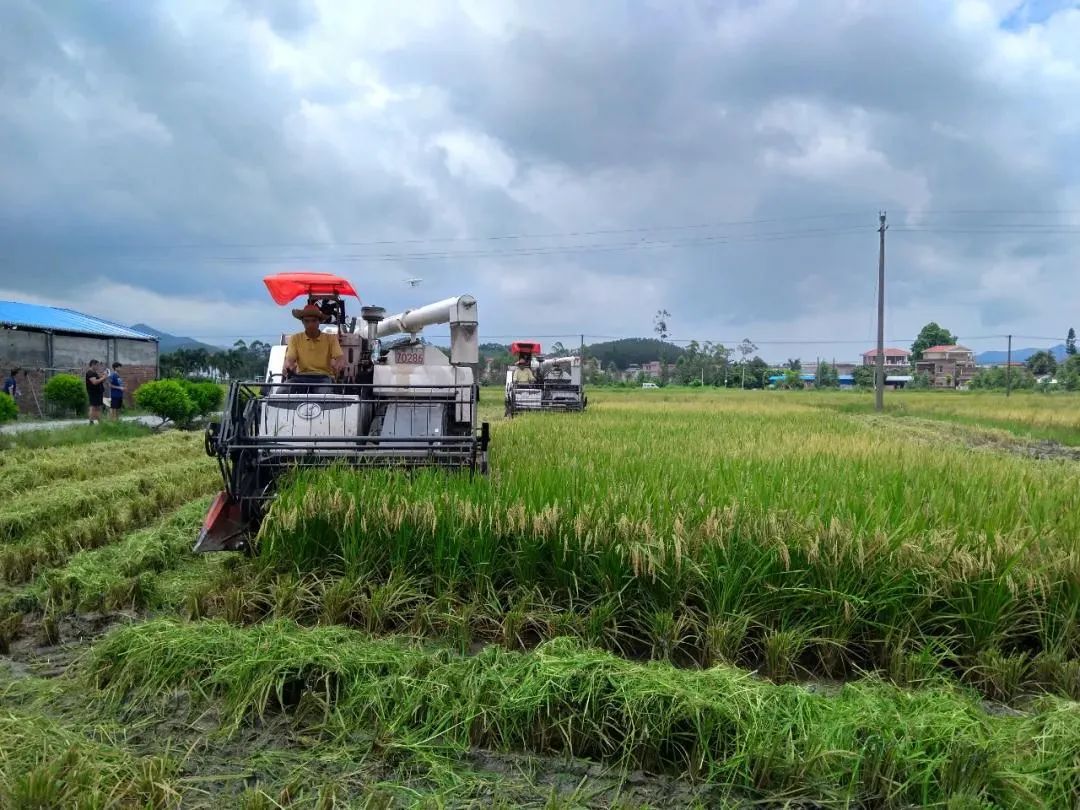 富硒产品税收优惠(税收优惠富硒产品是真的吗)-硒宝网