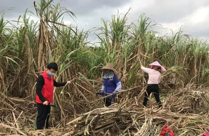 富硒产品税收优惠(税收优惠富硒产品是真的吗)-硒宝网