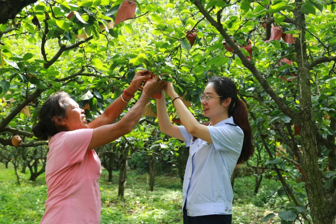 富硒产品税收优惠(税收优惠富硒产品是真的吗)-硒宝网