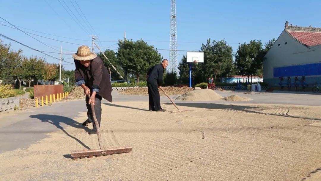 雨阳富硒农业产品(富硒功能农业)-硒宝网